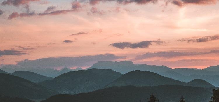 Indigo Hart12222222222222222222222222222222222222222222222222222222222222222222